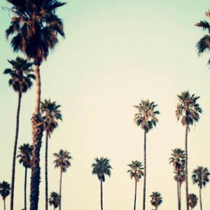 Meet your Posher, Dani